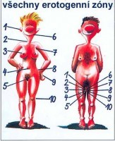 erotogennizony.jpg
