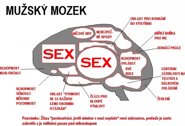 mozekmuz1.jpg