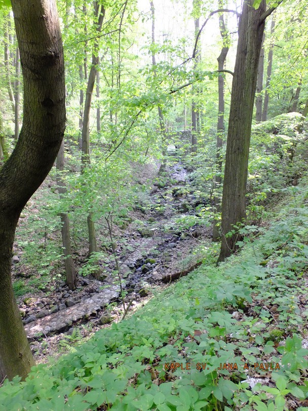 pred-podlesinem.jpg
